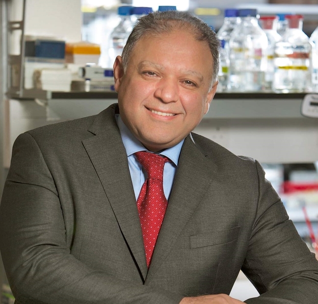 Profile photo of Afshin Samali